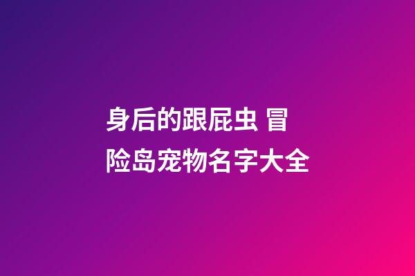 身后的跟屁虫 冒险岛宠物名字大全